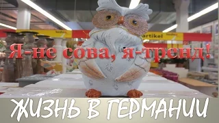 Жизнь в Германии  Совы это тренд