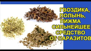 ГВОЗДИКА,ПОЛЫНЬ,ПИЖМА-СИЛЬНЕЙШАЯ СМЕСЬ ДЛЯ ОЧИСТКИ ОРГАНИЗМА ОТ ПАРАЗИТОВ  ИХ ЯИЦ И ЛИЧИНОК.