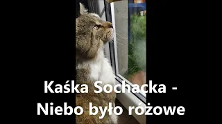 Kaśka Sochacka - Niebo było różowe + Tekst