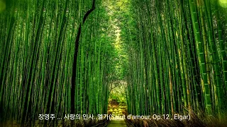 장영주...사랑의 인사...엘가(Salut d'amour, Op.12 Elgar)