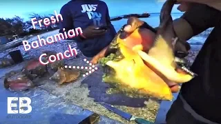 Diving for CONCH off Island - Catch Clean Cook (BAHAMAS)