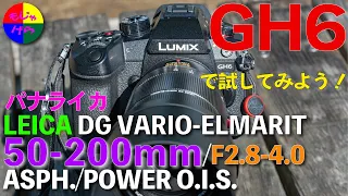 【LUMIX GH6】パナライカ横浜撮影！ LEICA DG VARIO-ELMARIT 50-200mm/F2.8-4.0 ASPH./POWER O.I.S. 中望遠ズームレンズ With GH6