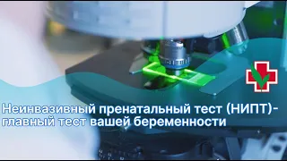 Неинвазивный пренатальный тест (НИПТ)- главный тест вашей беременности