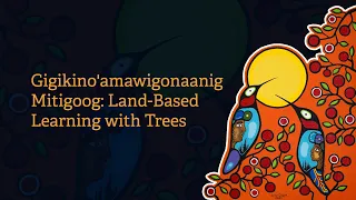 NAN LBLL - Gigikino'amawigonaanig Mitigoog: Land-Based Learning with Trees