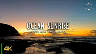 Twilight and Sunrise over the Ocean | Calming Seas Ambient Sounds 4K Nature Video | OmniHour