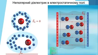 ОНВК "Гімназія №7". Фізика. 10 клас. Провідники та діелектрики в електричному полі