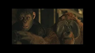 Finding Nova Scene | War for the Planet of the Apes (2017)#LOWI