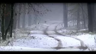 Синоптики рассказали, какой будет предстоящая зима в Латвии