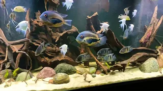 220 UARU aquarium 2/10/20