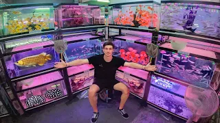 Inside Asia's *LARGEST* Aquarium Fish Market!! ... (Bangkok Thailand) $$$