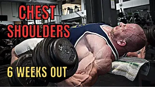 SHREDDED CHEST + SHOULDERS | 6 Weeks Out of WHAT?