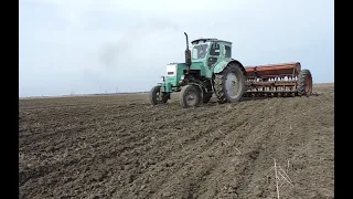 Посев ярового ячменя Вакула 🚜 Трактором Т -40 🛠