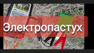 Установка электропастуха для коров. Выпас коров.