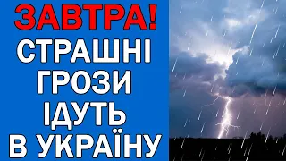 ПОГОДА НА 31 ТРАВНЯ - ПОГОДА НА ЗАВТРА