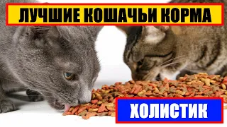 ЛУЧШИЕ КОШАЧЬИ КОРМА В КАТЕГОРИИ ХОЛИСТИК || КОРМ ХОЛИМТИК ДЛЯ КОШЕК