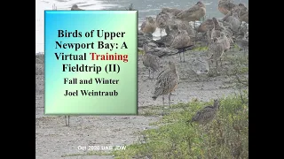 Birds of Upper Newport Bay (II): A Virtual Training Fieldtrip: Fall and Winter