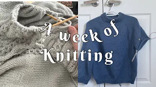 social media thoughts, finishing my semper sweater// Knitting Vlog 08