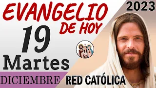 Evangelio de Hoy Martes 19 de Diciembre de 2023 | REFLEXIÓN | Red Catolica