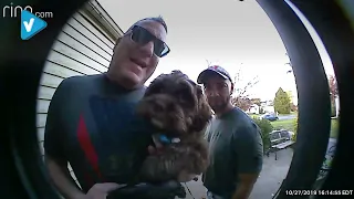 #SmartHome  Guide: Watch the Heartwarming Video of Neighbors Bringing Their Dogs to Console a