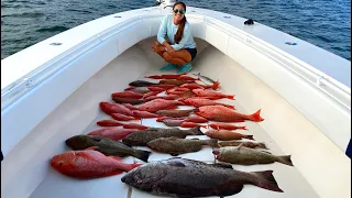 INSANE Offshore Fishing in Gulf of Mexico! Catch Clean & Cook Red Snapper!