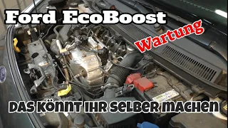 Ford EcoBoost - Wartung im Detail