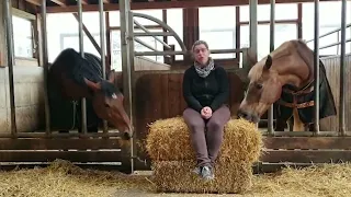 Swiss farm life by horse and carriage