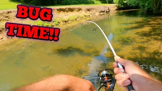 How to Catch Fish in the "BUG BITE"...