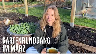 Gartenrundgang März 2024 | Gemüsegarten, Gewächshaus & Waldgarten
