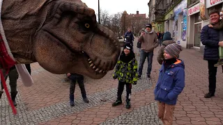 Tyranozaur w Mysłowicach 29.12.2022