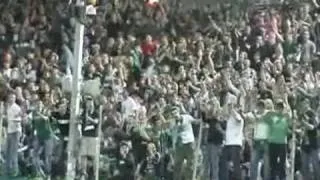 Rapid Wien Fangesänge