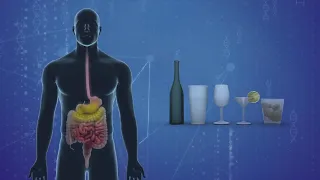 How alcohol causes blackouts and affects memories