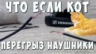 ✅👍 Что делать если кот перегрыз провод? Как спаять провод наушников? ✅