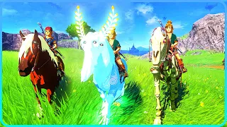 ALL Horses Showcase Zelda Tears of the Kingdom