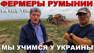 Возможности для украинцев в Румынии. Бизнес в Румынии. Аграрный сектор Румынии. Румынские фермеры