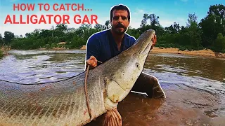 How To Catch Giant Alligator Gar