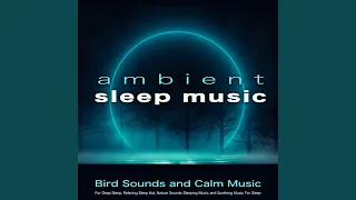 Bird Sounds for Sleeping Music