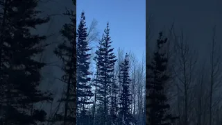 Crazy Windstorm in Alaska!