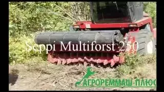 Лесной мульчер Seppi Multiforst 250  на базе УЭС-2-280 "Полесье"