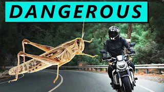 5 Things NO ONE TELLS YOU about Motorcycles