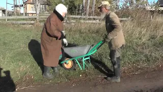 Везу немощную на тележке к дровам.   03. 10. 2019