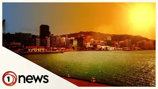 Wellington warned of water shortage this summer