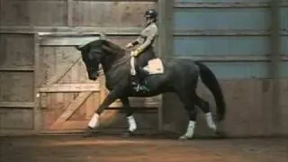 Lucky Star Ishoy dressage clinic 06-04-08 1 of 2