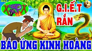 Luật Nhân Quả Không Chừa Một Ai, G.I.Ế.T RẮN TÀN NHẪN - Cái Kết Cho Việc Sát Sinh - Nên Nghe Một Lần