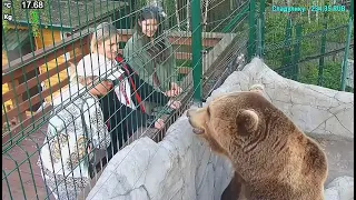Мансур 🤎 Три дамы и любопытный медведь! Visitors for the Bear 😊💖