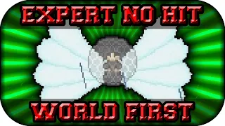 ❚Terraria❙Blushiemagic World First ❰No Hit❙Expert Mode❱❚