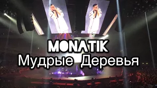 MONATIK ~ Мудрые Деревья // Палац Спорта 20.10.2017