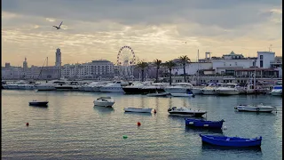 Coastal Marina Ambience