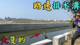 在路邊排水溝釣魚！！釣到大魚讓我斷線啦！！好難過....(路亞/前打/磯釣/泰國鱧/呆)