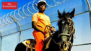 Can horse taming prevent reoffending?