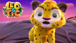 Leo y Tig 🐯🦁 | La Piel del Sol - Episodio 1 | Super Toons TV Dibujos Animados en Español